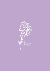 雛菊_紫色