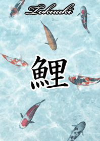 とくあき用和風鯉