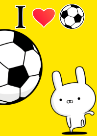 I love soccer