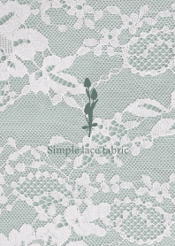 Simple lace fabric_03