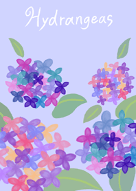 紫陽花