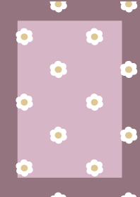 daisy flower pink
