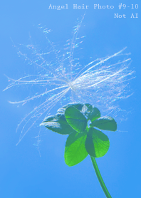 Angel Hair Photo#9-10Not AI