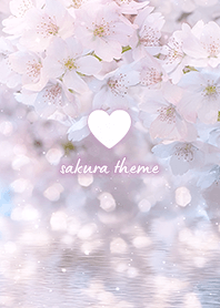 Sakura Theme ✿ 004 (HC)