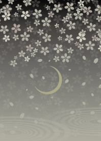 銀桜