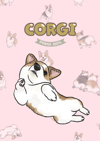 corgicorgi8 - pink