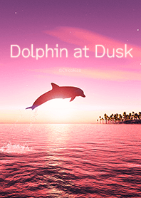Dolphin at Dusk .
