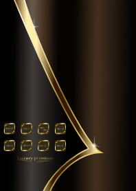 Luxury＆premium