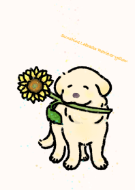 Sunshine Labrador Retriever-yellow-
