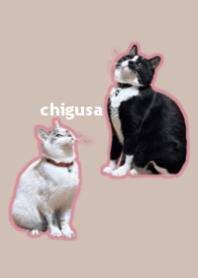 chii