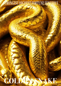 Golden snake  Lucky 79