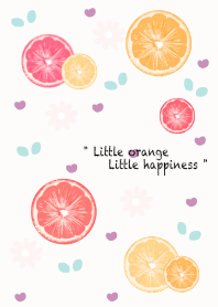 Sweet colorful sliced orange 7
