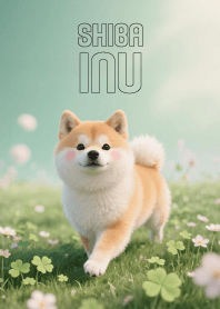Pretty Shiba Inu in Clover Land
