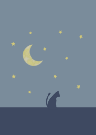Night and cat theme