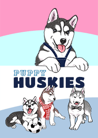 ฮัสกี ปั๊บปี้น้อย