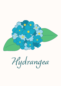 Hydrangea-01