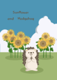 Sunflower and hedgehog2