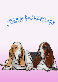 こんにちは、 バセットハウンド Part7