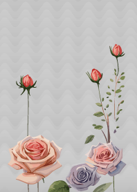 white 薔薇空間