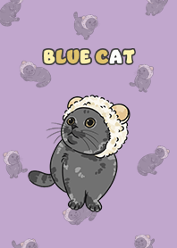 bluecat2 - purple