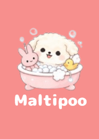 柔軟馬爾泰迪主題3 Red 01