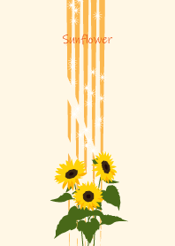 August's birth flower,Sunflower