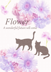 優しくかわいいガーベラの花・ねこ・15