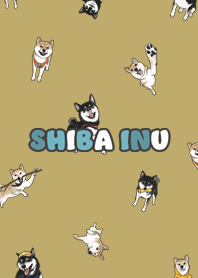 shibainu3 - ginger