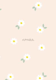 White floral pattern19