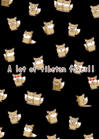 A lot of tibetan foxes!!/BLACK