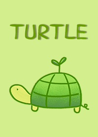Turtle one