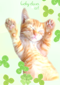 Clover cat (green)
