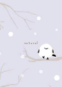 Long-tailed Tit snow26 from Japan