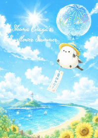 Shima Enaga's Sunflower Summer