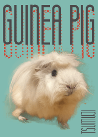 GUINEAPIG tsumuji -ふわふわモルモット-