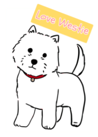 白いわんちゃんウエスティ