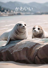 Cute seal couple!