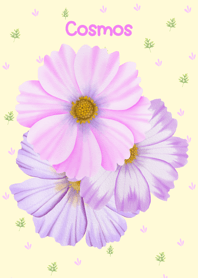 Dreamy Cosmos(yellow)