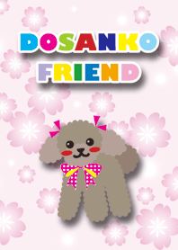 RUBY&FRIEND [toy poodle/Brown] Spring
