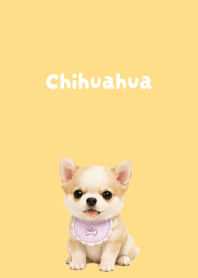 I love Chihuahuas02 brown & yellow