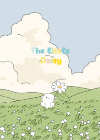 momile | The little Daisy