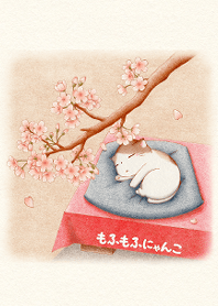 mofumofu nyanko *Sakura and calico cat*