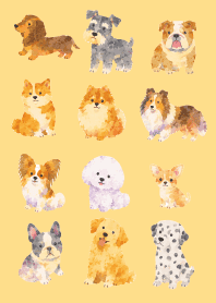 Is my dog here? 03 brown & yellow
