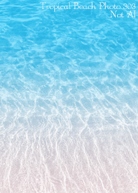 Tropical Beach Photo 294 Not AI
