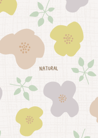 Flowers Autumn Day27 from Japan