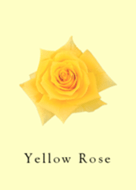 Роза желтая кукла фото и описание
