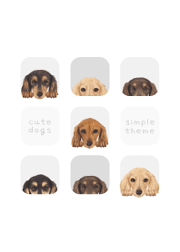 DOGS - dachshund L - WHITE/GRAY