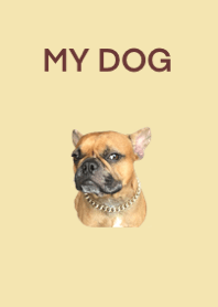My dogdog