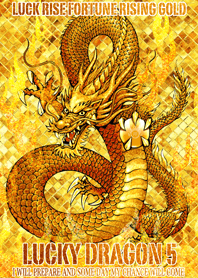 金運上昇 運気上昇 幸運の龍神5