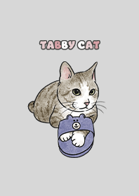 tabbycat6 - light grey